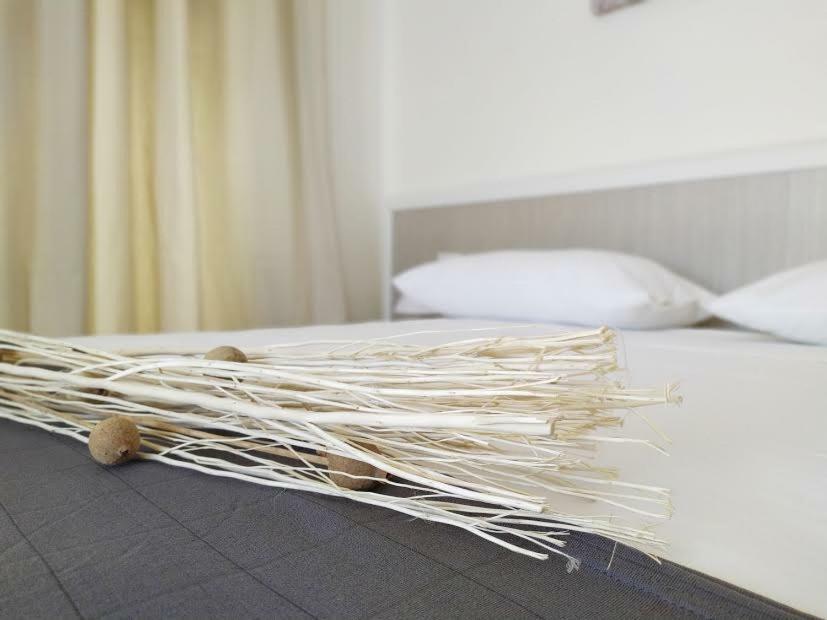 פאסאנו Vigna Marina Hotel מראה חיצוני תמונה